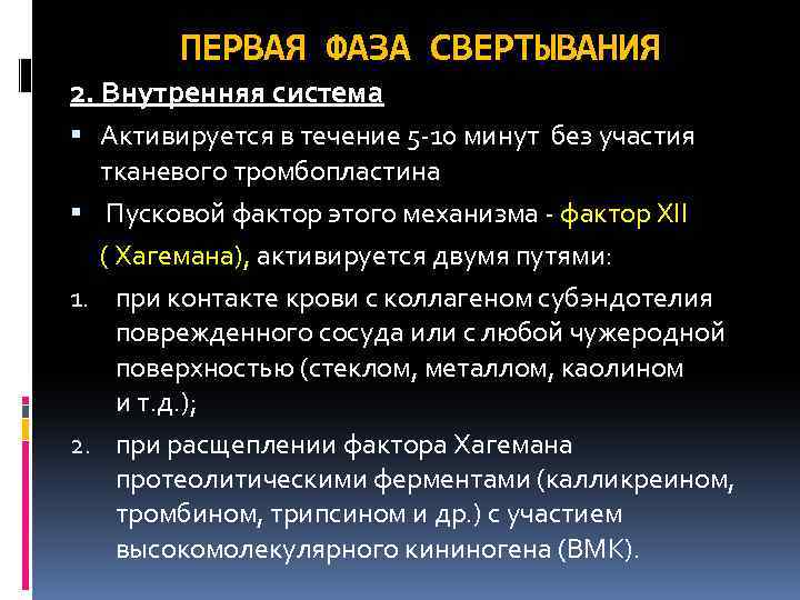 ПЕРВАЯ ФАЗА СВЕРТЫВАНИЯ 2. Внутренняя система Активируется в течение 5 -10 минут без участия