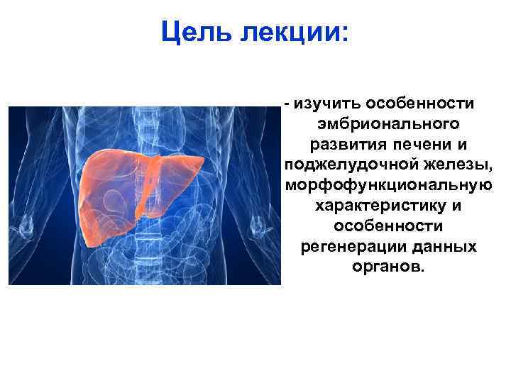Цель лекции: - изучить особенности эмбрионального развития печени и поджелудочной железы, морфофункциональную характеристику и