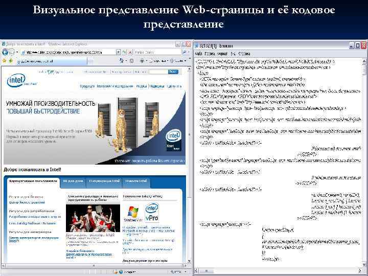 Визуальное представление Web-страницы и её кодовое представление 