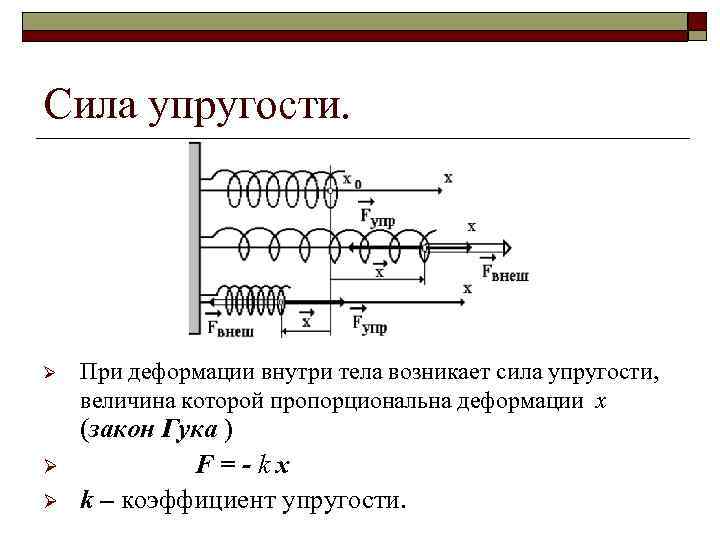 Сила упругости. Ø Ø Ø При деформации внутри тела возникает сила упругости, величина которой