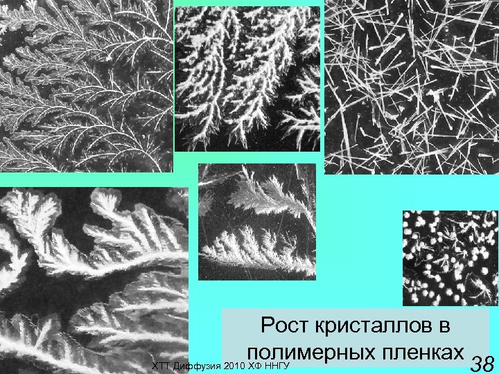 Кристалл роста. Рост кристаллов. Островковый рост кристаллов. Бакли рост кристаллов. Фото экспертов роста кристаллов.