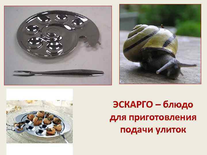 ЭСКАРГО – блюдо для приготовления подачи улиток 
