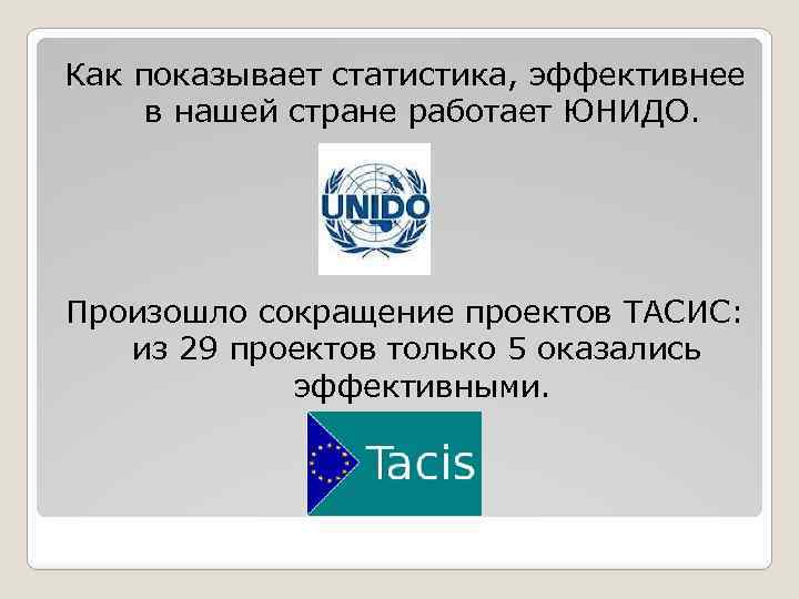 Бизнес план tacis