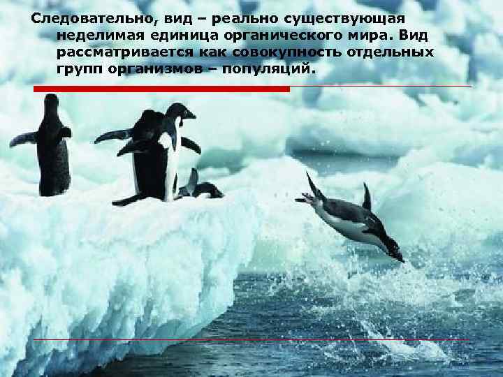 Следовательно, вид – реально существующая неделимая единица органического мира. Вид рассматривается как совокупность отдельных