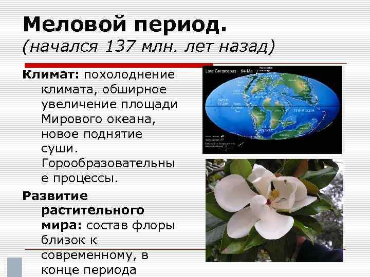 Меловой период. (начался 137 млн. лет назад) Климат: похолоднение климата, обширное увеличение площади Мирового