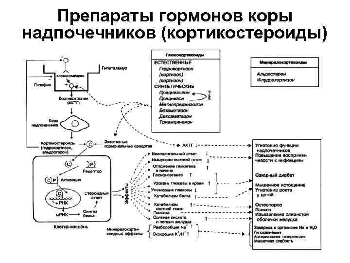 Таблетки для надпочечников