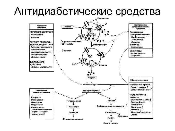 Антидиабетические средства 