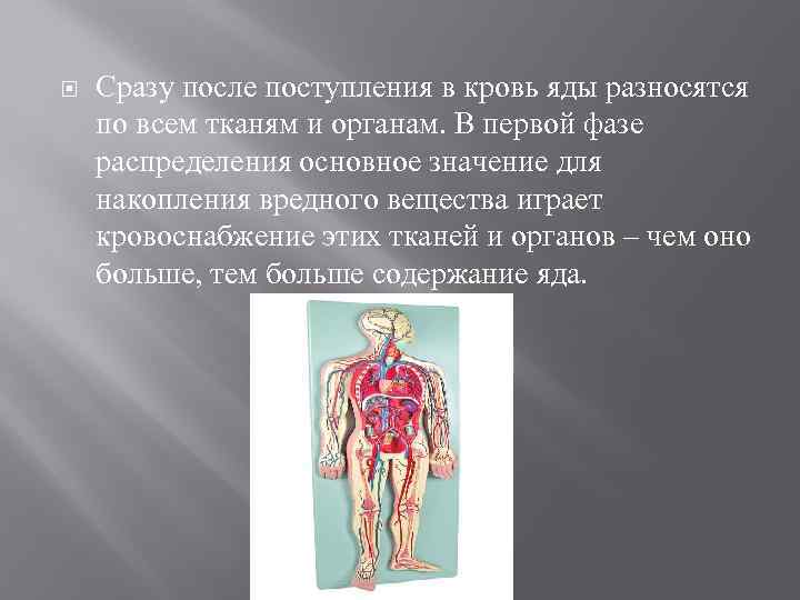  Сразу после поступления в кровь яды разносятся по всем тканям и органам. В