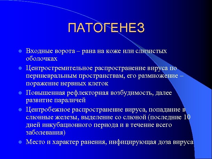 ПАТОГЕНЕЗ l l l Входные ворота – рана на коже или слизистых оболочках Центростремительное