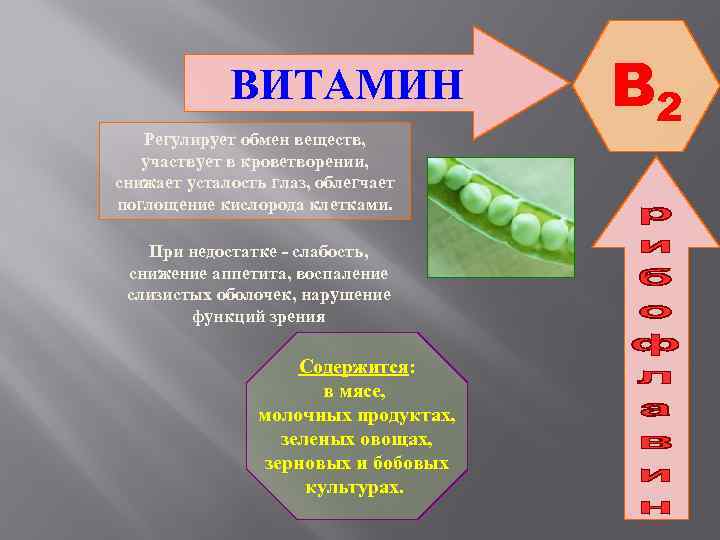 Презентация витамин пп