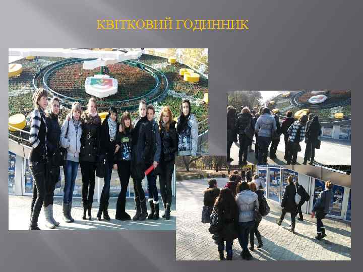 КВІТКОВИЙ ГОДИННИК 