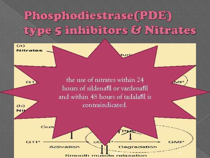 Phosphodiestrase(PDE) type 5 inhibitors & Nitrates the use of nitrates within 24 hours of
