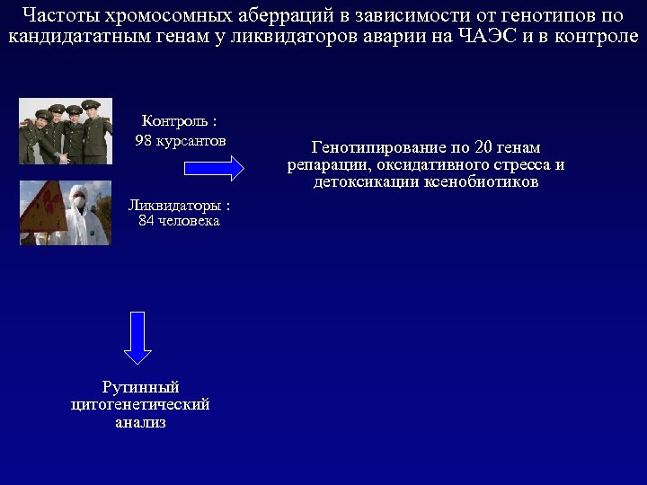 Частоты хромосомных аберраций в зависимости от генотипов по кандидататным генам у ликвидаторов аварии на