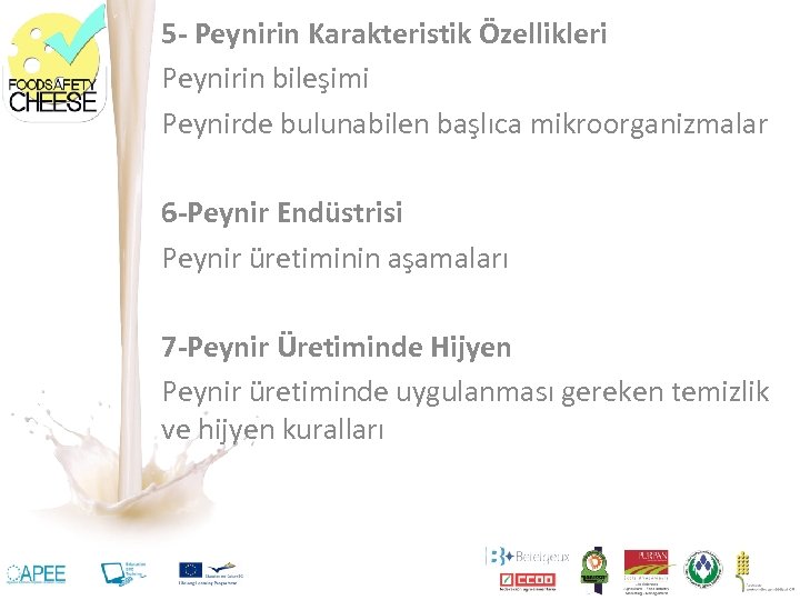 5 - Peynirin Karakteristik Özellikleri Peynirin bileşimi Peynirde bulunabilen başlıca mikroorganizmalar 6 -Peynir Endüstrisi