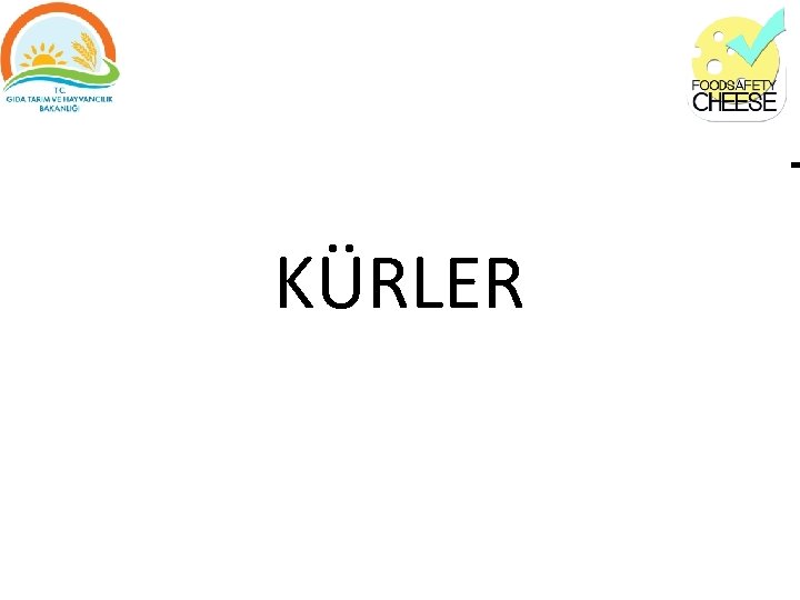 KÜRLER T 