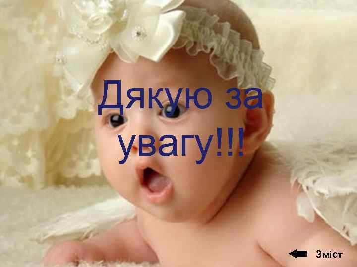 Дякую за увагу!!! Зміст 