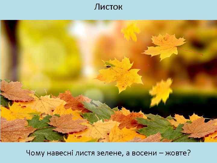Листок Чому навесні листя зелене, а восени – жовте? 