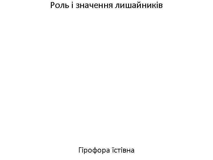 Роль і значення лишайників Гірофора їстівна 