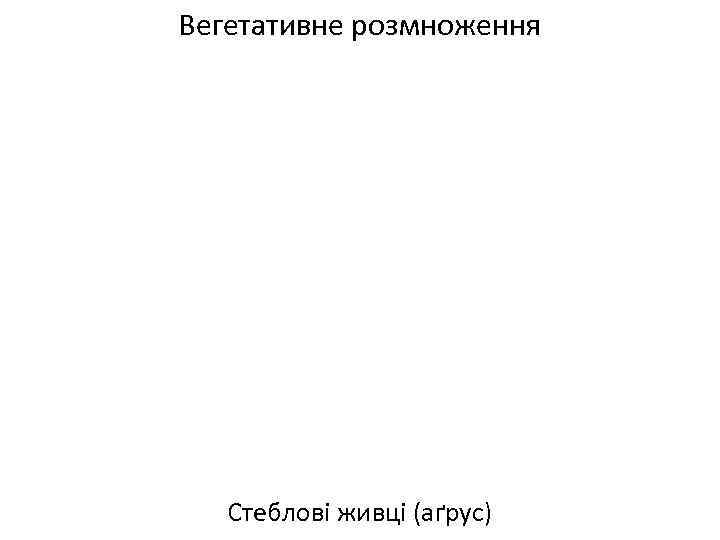 Вегетативне розмноження Стеблові живці (аґрус) 