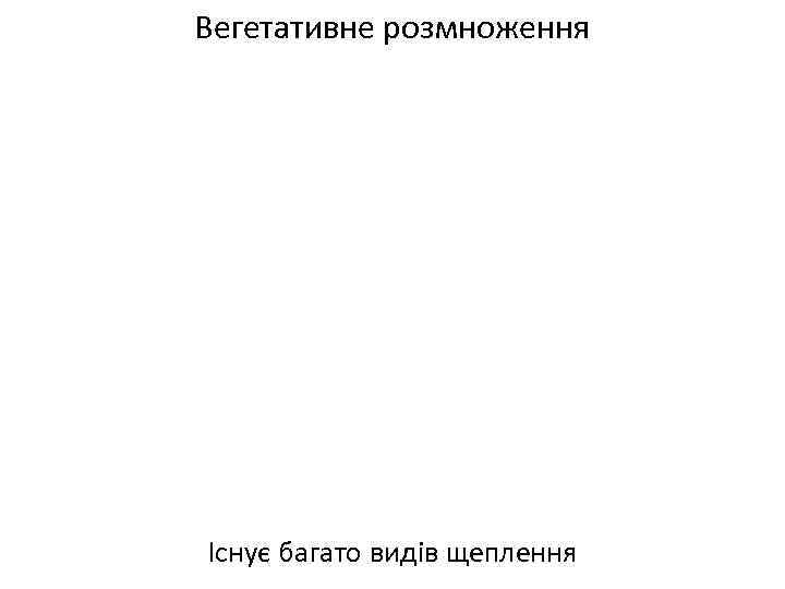 Вегетативне розмноження Існує багато видів щеплення 