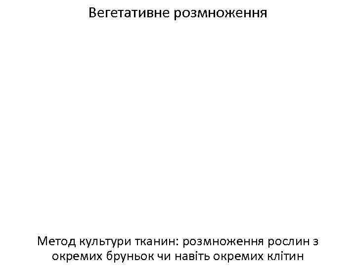 Вегетативне розмноження Метод культури тканин: розмноження рослин з окремих бруньок чи навіть окремих клітин