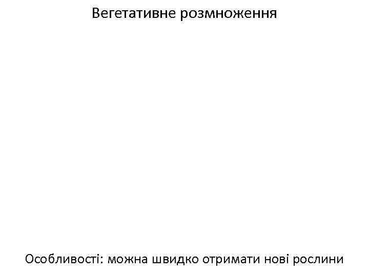 Вегетативне розмноження Особливості: можна швидко отримати нові рослини 