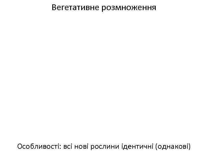 Вегетативне розмноження Особливості: всі нові рослини ідентичні (однакові) 