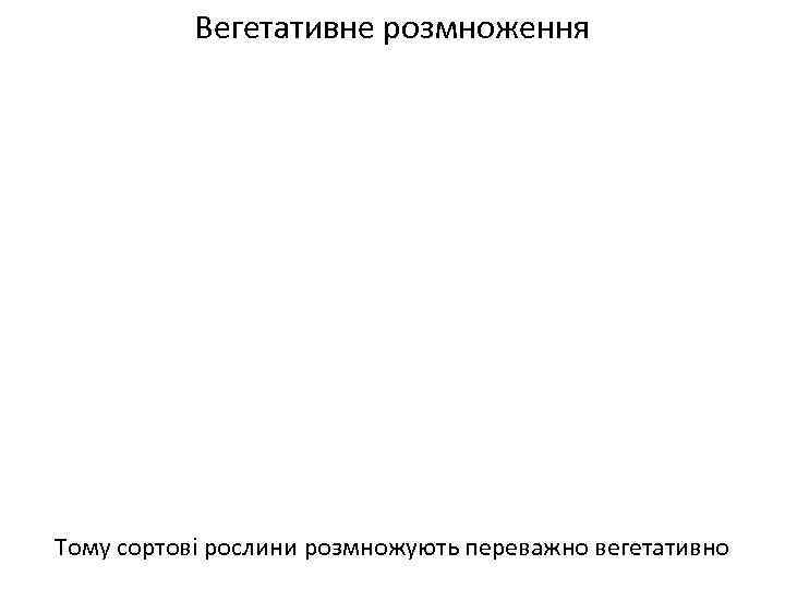 Вегетативне розмноження Тому сортові рослини розмножують переважно вегетативно 