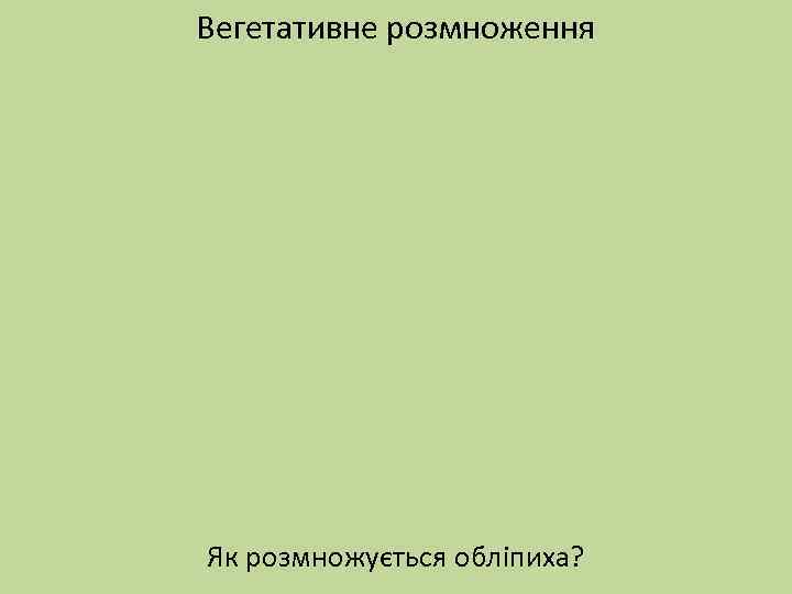 Вегетативне розмноження Як розмножується обліпиха? 