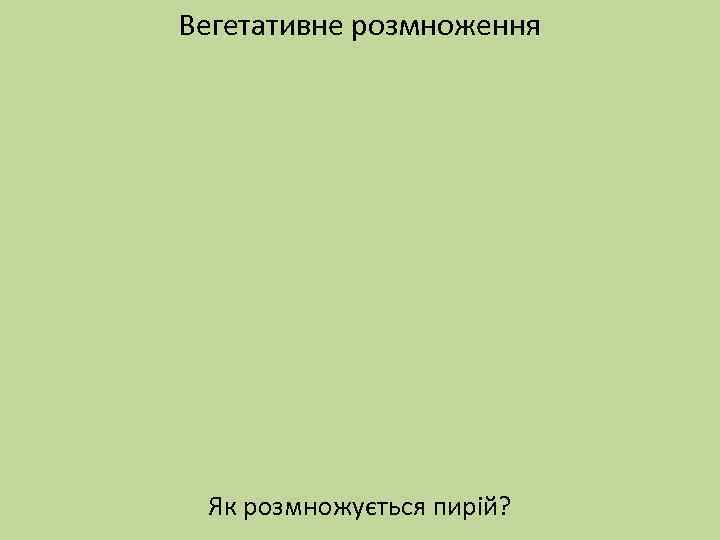 Вегетативне розмноження Як розмножується пирій? 