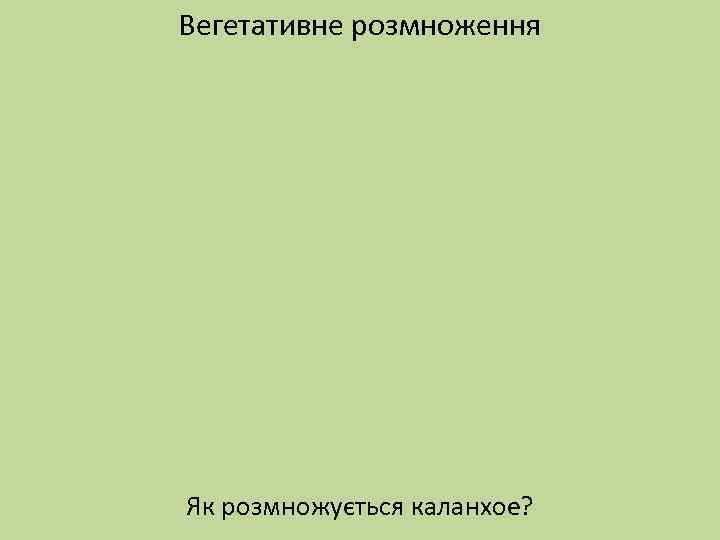 Вегетативне розмноження Як розмножується каланхое? 