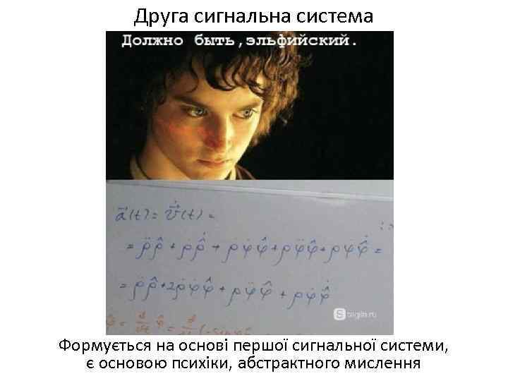 Друга сигнальна система Формується на основі першої сигнальної системи, є основою психіки, абстрактного мислення