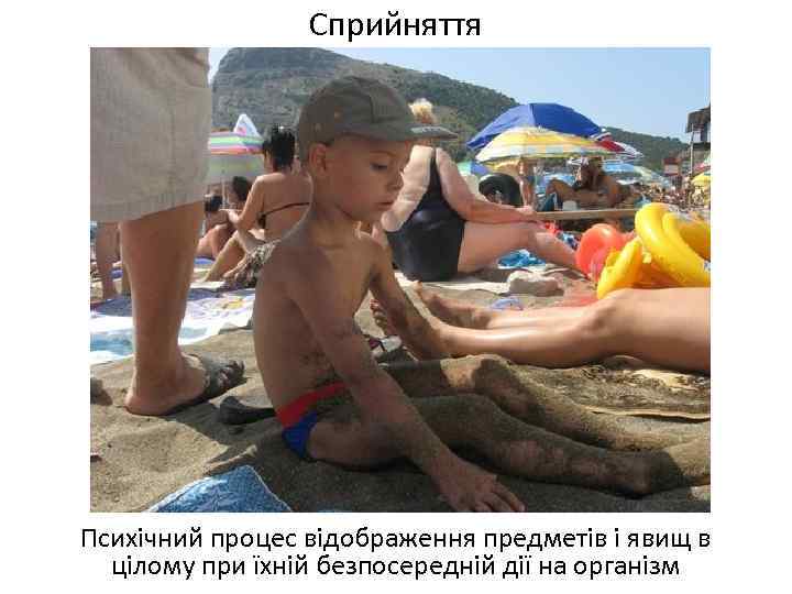 Сприйняття Психічний процес відображення предметів і явищ в цілому при їхній безпосередній дії на