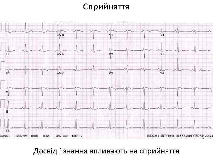 Сприйняття Досвід і знання впливають на сприйняття 