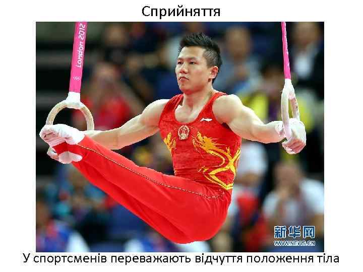 Сприйняття У спортсменів переважають відчуття положення тіла 