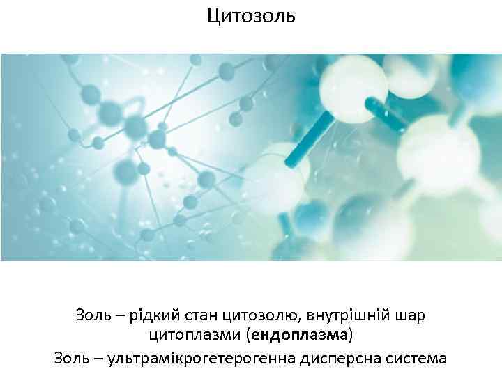 Цитозоль Золь – рідкий стан цитозолю, внутрішній шар цитоплазми (ендоплазма) Золь – ультрамікрогетерогенна дисперсна