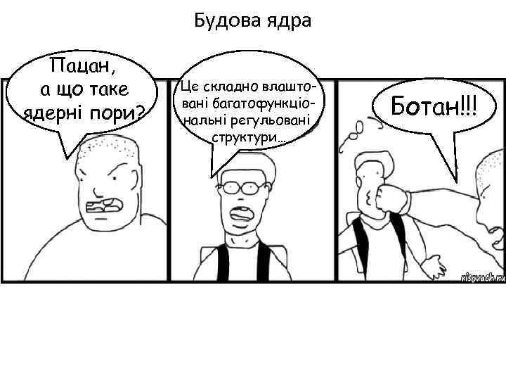 Будова ядра Пацан, а що таке ядерні пори? Це складно влашток вані багатофункціональні регульовані