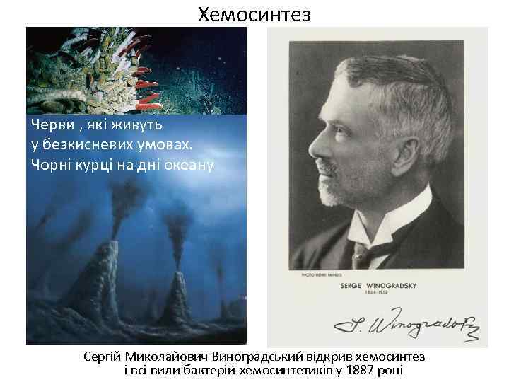 Хемосинтез Черви , які живуть у безкисневих умовах. Чорні курці на дні океану Сергій