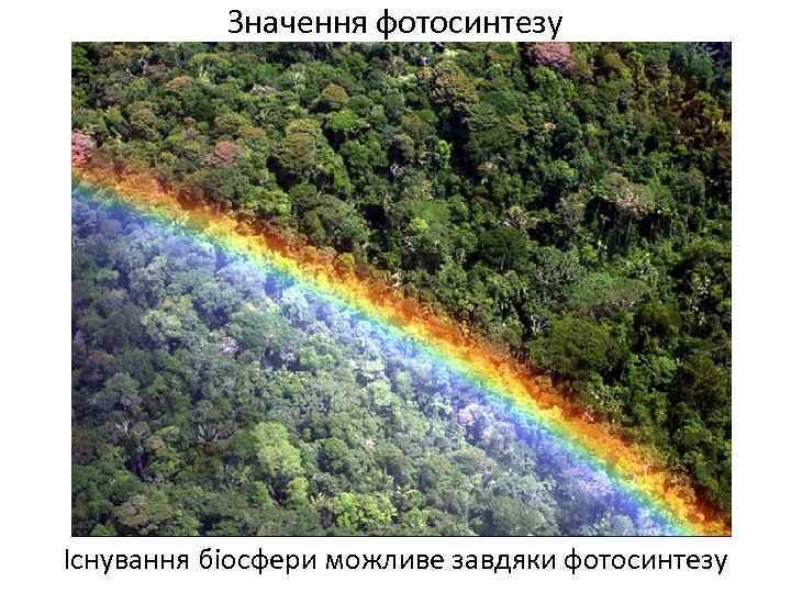 Значення фотосинтезу Існування біосфери можливе завдяки фотосинтезу 