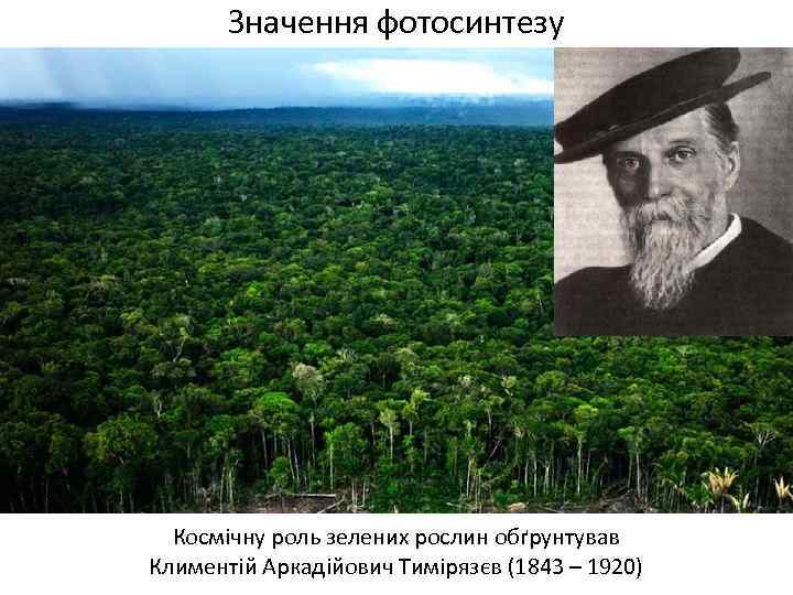 Значення фотосинтезу Космічну роль зелених рослин обґрунтував Климентій Аркадійович Тимірязєв (1843 – 1920) 