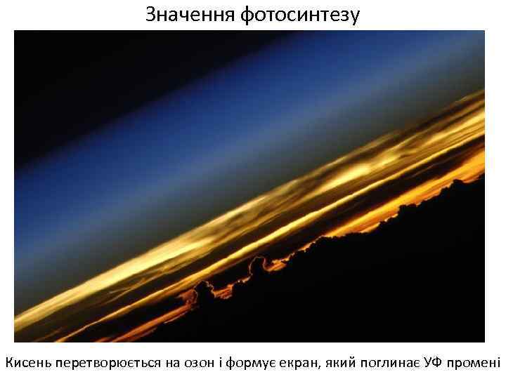 Значення фотосинтезу Кисень перетворюється на озон і формує екран, який поглинає УФ промені 