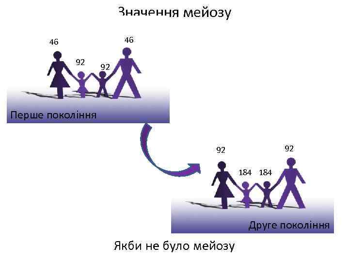 Значення мейозу 46 46 92 92 Перше покоління 92 92 184 Друге покоління Якби