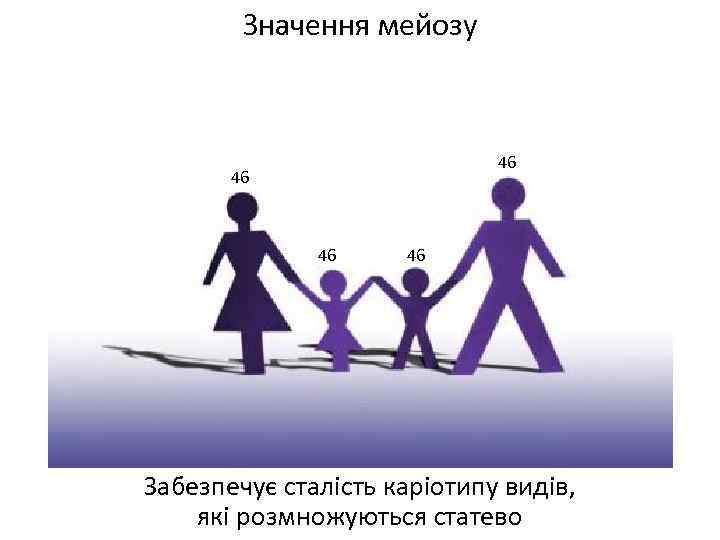 Значення мейозу 46 46 Забезпечує сталість каріотипу видів, які розмножуються статево 