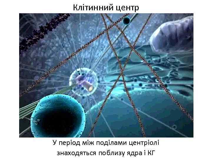 Жизнь клетки. Жизнь клетки фильм. Клетка внутри. Внутренний мир клетки. Пространство внутри клетки.