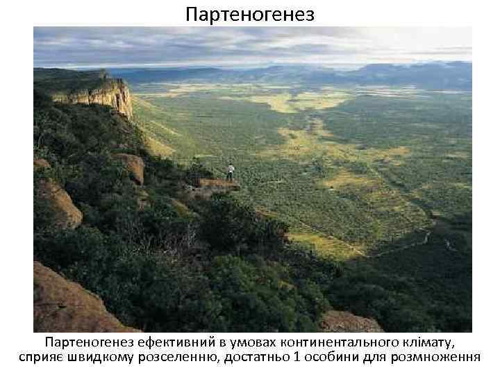 Партеногенез ефективний в умовах континентального клімату, сприяє швидкому розселенню, достатньо 1 особини для розмноження
