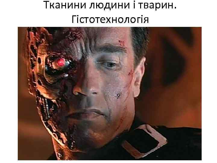 Тканини людини і тварин. Гістотехнологія 