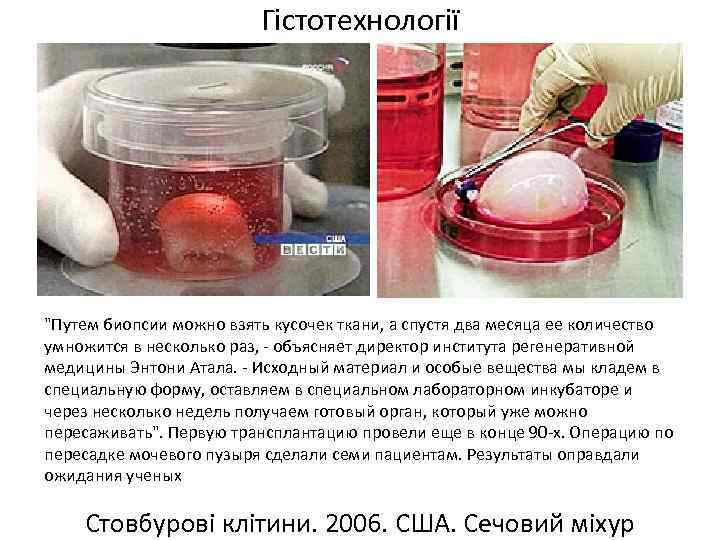 Гістотехнології 