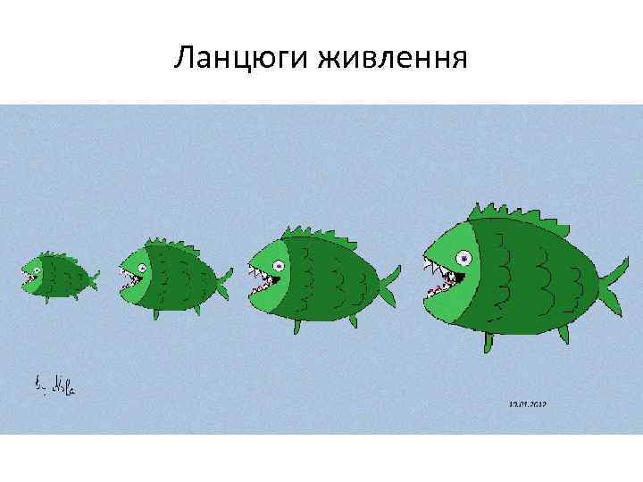 Ланцюги живлення 