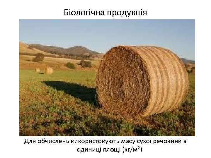 Біологічна продукція Для обчислень використовують масу сухої речовини з одиниці площі (кг/м 2) 