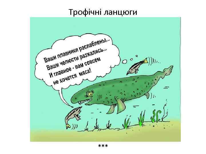 Трофічні ланцюги *** 